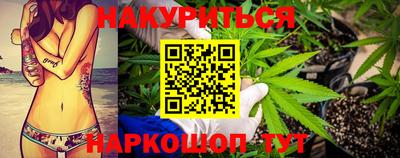 сатива Бузулук