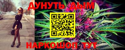 сатива Бузулук