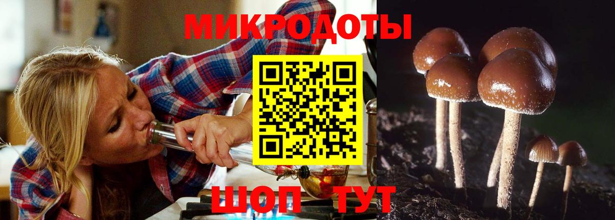 Псилоцибиновые грибы GOLDEN TEACHER Электрогорск