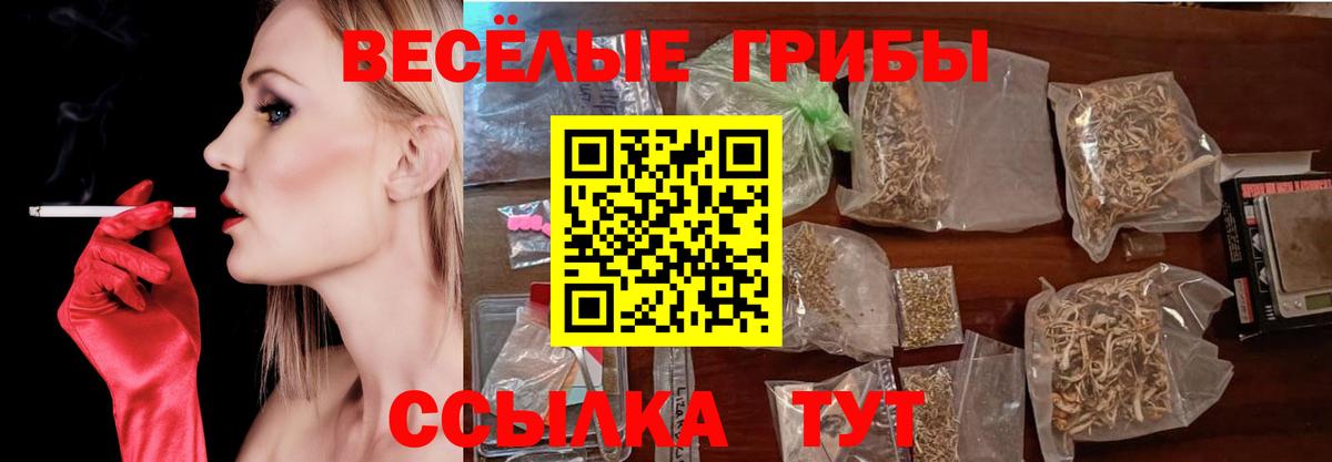 продажа наркотиков  Вход с VPN  Электрогорск  Галлюциногенные грибы Cubensis  Псилоцибиновые грибы мицелий 
